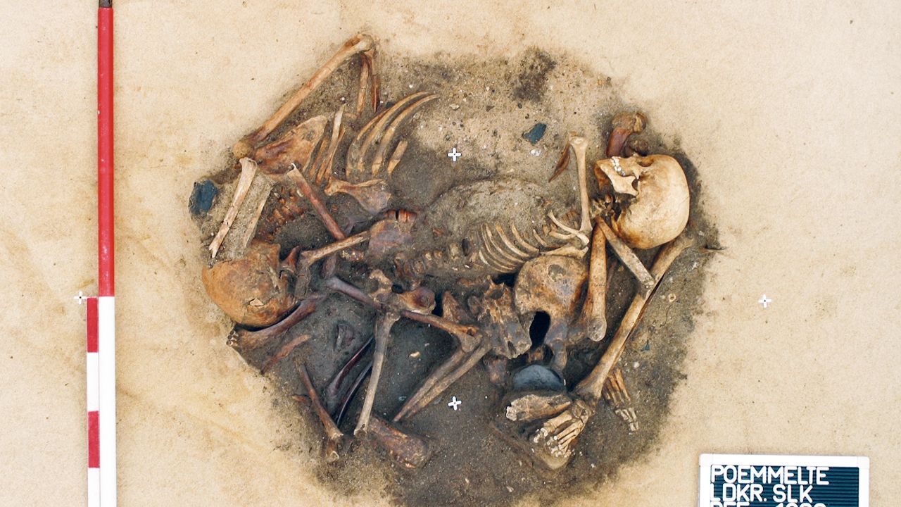 /uploads/archaeologie_exklusiv_poemmelte_ritualmord_mediathek_3fe9cbd1de.jpg
